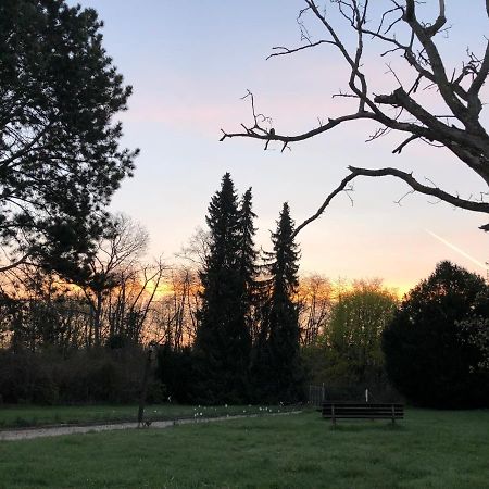 Ferienwohnung Apartment Doppelzimmer In Der Villa Naturpark Rheinblick, Ruhig, Aussicht, Pool Koblenz  Bagian luar foto