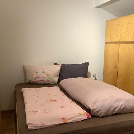 Ferienwohnung Apartment Doppelzimmer In Der Villa Naturpark Rheinblick, Ruhig, Aussicht, Pool Koblenz  Bagian luar foto