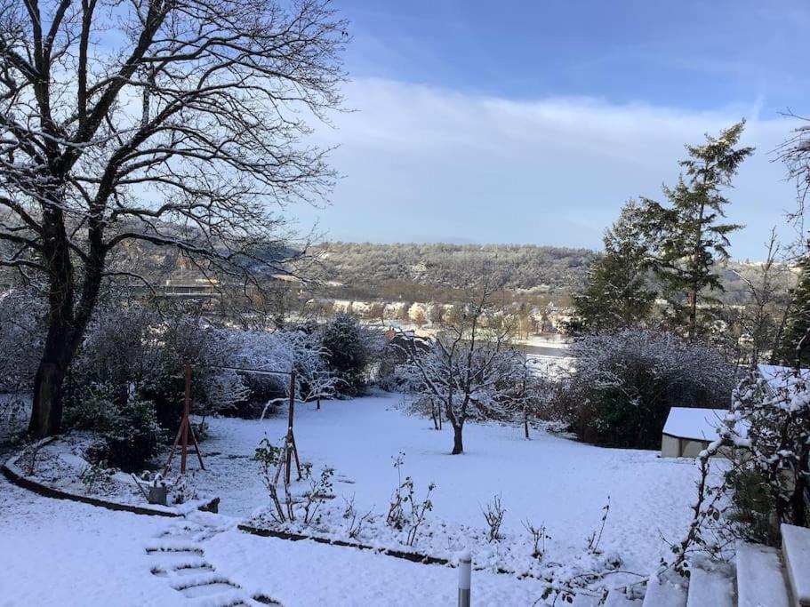 Ferienwohnung Apartment Doppelzimmer In Der Villa Naturpark Rheinblick, Ruhig, Aussicht, Pool Koblenz  Bagian luar foto