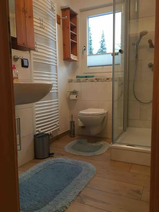 Ferienwohnung Apartment Doppelzimmer In Der Villa Naturpark Rheinblick, Ruhig, Aussicht, Pool Koblenz  Bagian luar foto