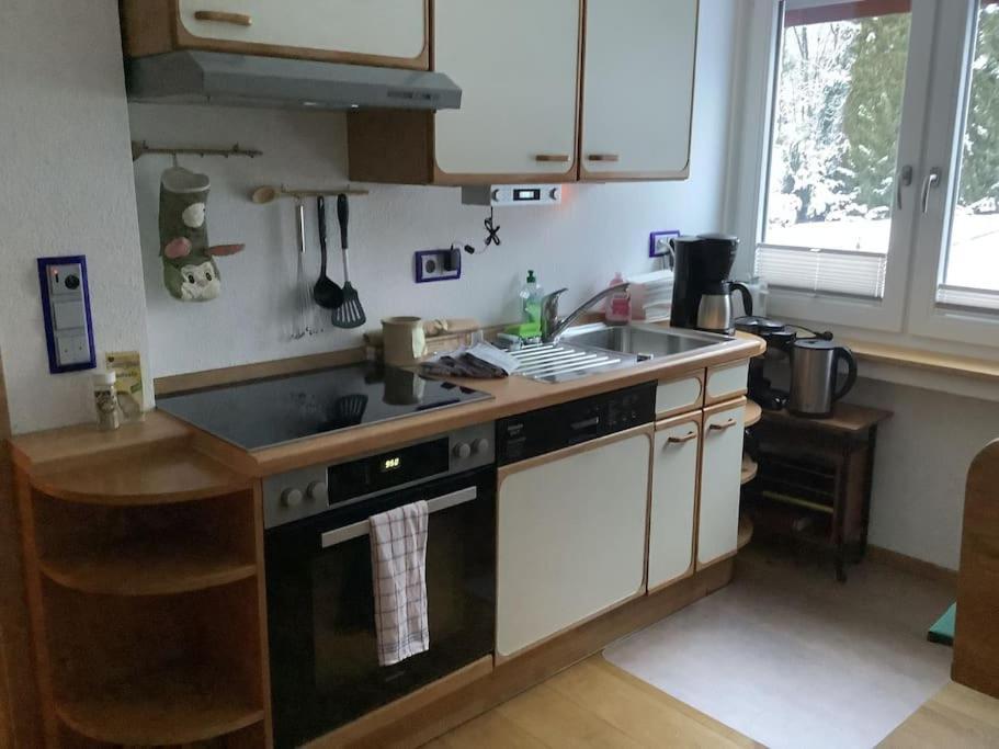 Ferienwohnung Apartment Doppelzimmer In Der Villa Naturpark Rheinblick, Ruhig, Aussicht, Pool Koblenz  Bagian luar foto