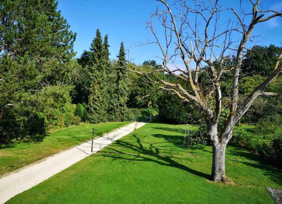 Ferienwohnung Apartment Doppelzimmer In Der Villa Naturpark Rheinblick, Ruhig, Aussicht, Pool Koblenz  Bagian luar foto