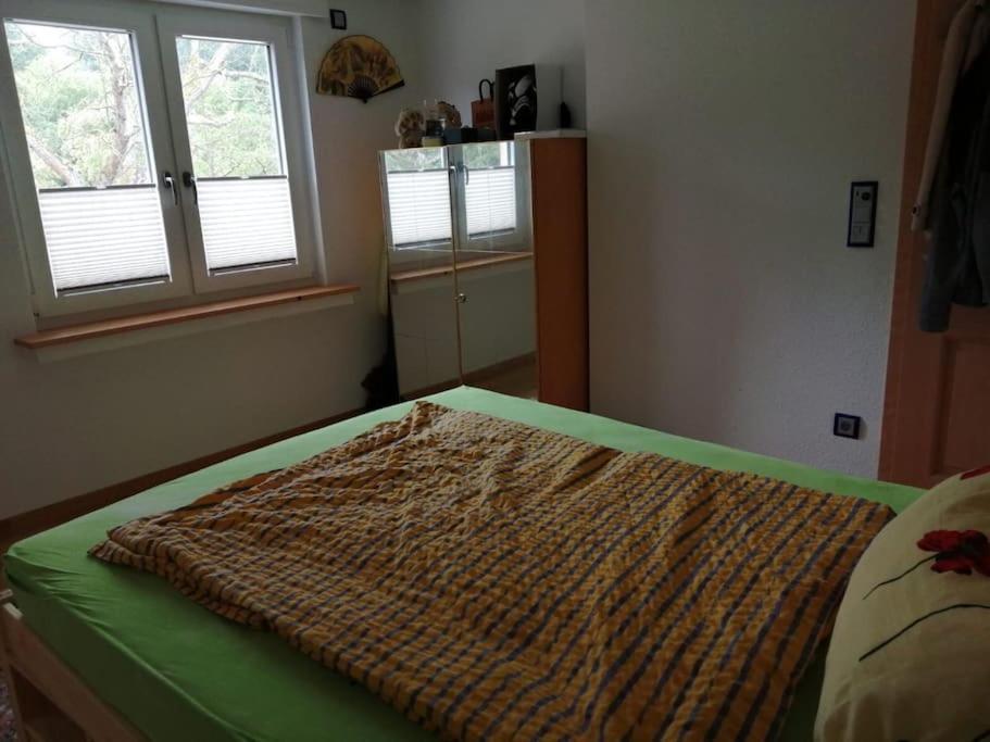 Ferienwohnung Apartment Doppelzimmer In Der Villa Naturpark Rheinblick, Ruhig, Aussicht, Pool Koblenz  Bagian luar foto
