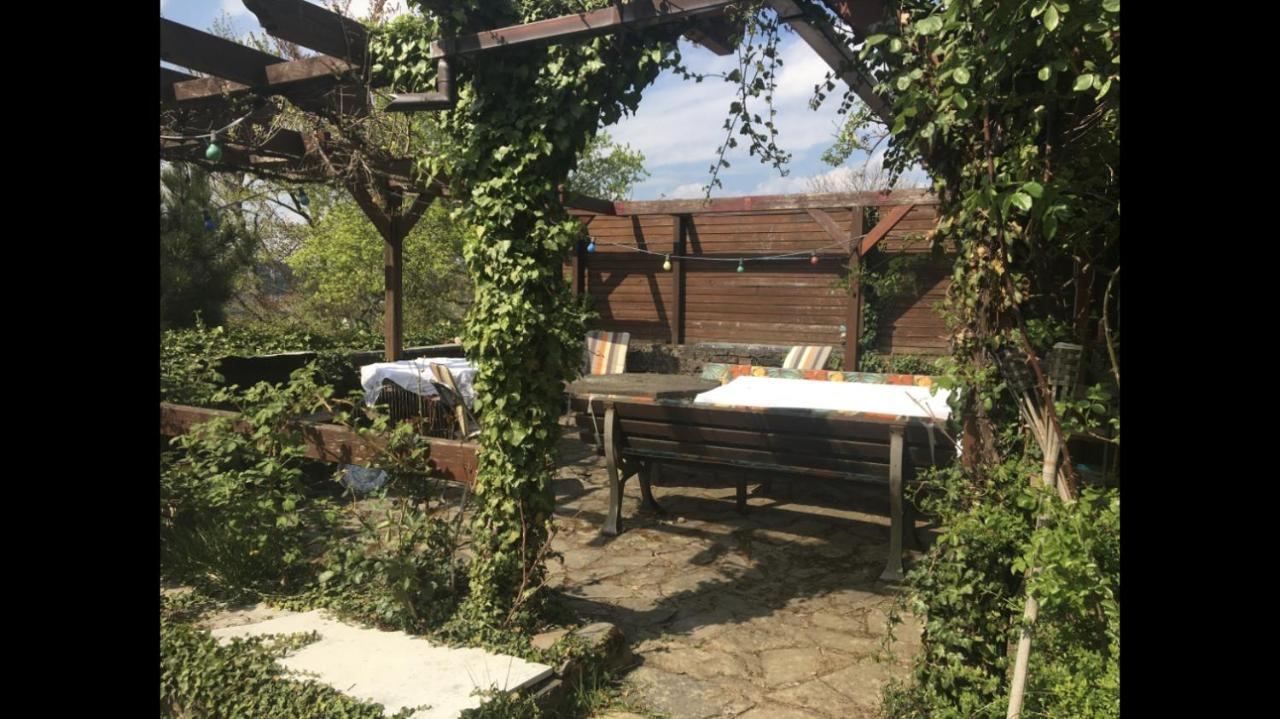 Ferienwohnung Apartment Doppelzimmer In Der Villa Naturpark Rheinblick, Ruhig, Aussicht, Pool Koblenz  Bagian luar foto